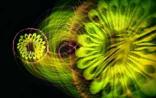 timelapse photo of a green light