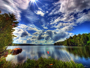 body of water surrounded by tree under blue clouds photography HD wallpaper