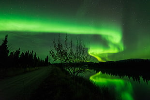 green auroa borealis HD wallpaper