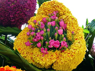 yellow and pink flower arrangement HD wallpaper