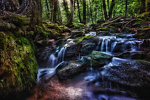timelapse photography of nature falls surrounded with trees HD wallpaper