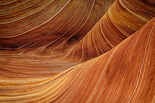 sandstone, the wave, rock, nature HD wallpaper