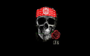 Guns 'n Roses skull graphic wallpaper, skull, rose, minimalism, Guns N' Roses