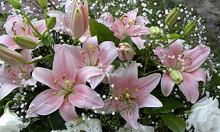 pink and white petal flower bouquet arrangement