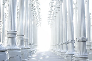 white columns HD wallpaper