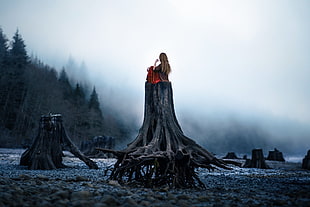 woman sitting on top of wood trunk