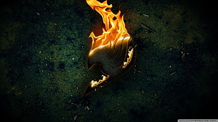 Fairytail logo wallpaper, Fairy Tail, logo, fire, anime