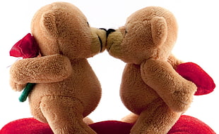 photography of two brown bears hiding red roses plush toys