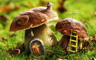 two brown mushroom house miniatures, mushroom, house, nature, digital art