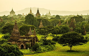 brown temple, nature, landscape, Myanmar, temple HD wallpaper