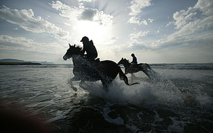 silhouette image of persons riding on horses on body of water HD wallpaper