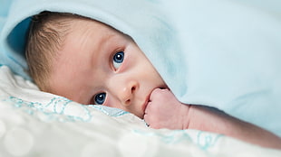 blue textile, baby, blue eyes, blankets, children HD wallpaper