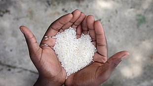 bunch of rice on person palm