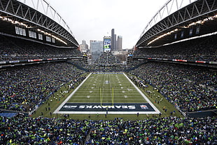 NFL Seattle Seahawks football field, American football, NFL, Seattle Seahawks, Seattle