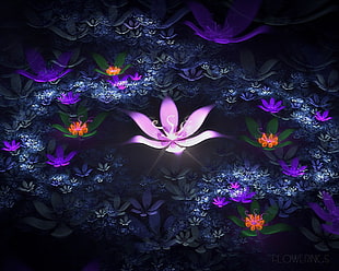purple, green, pink, and black flower graphic wallpaper
