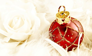 red and gold Christmas bauble and white Rose flower