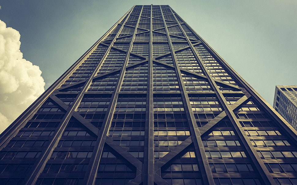 gray high-rise building, city, skyscraper, Chicago HD wallpaper