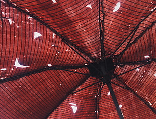 red and black patio umbrella HD wallpaper
