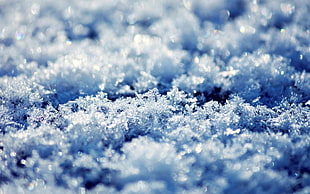 snow flakes, snow, macro HD wallpaper