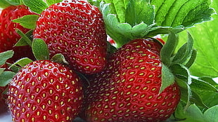 photography of four strawberries fruit