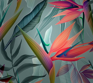 green and red floral graphite wallpaper