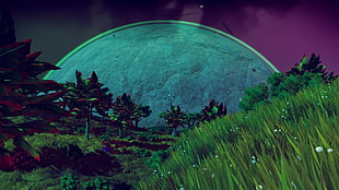 trees and grass with moon at night time illustration, No Man's Sky, Gamer