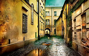 pathway and buildings wallpaper