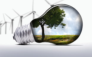 green and black fish painting, light bulb, trees, grass, clouds