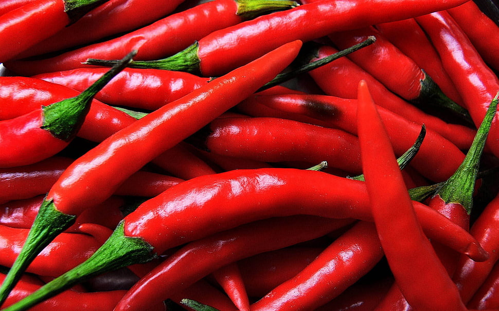 closed up shoot red chili HD wallpaper