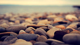 grey pebbles on shore during daytime