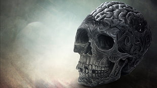 gray human skull painting illustration