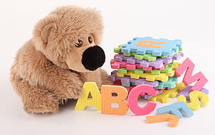 assorted colored alphabetical mats and brown bear plush toy