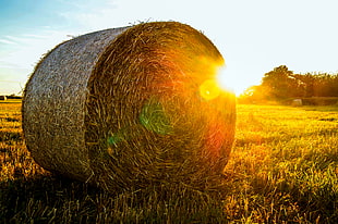 rolled hay stack on green grass field