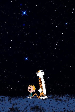 Tiger character looking up at night sky with stars
