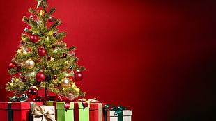 Christmas Tree surrounded by gifts HD wallpaper