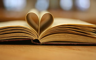 beige book page, books, heart, depth of field