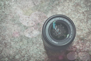 black Canon telephoto lens, flowers, lens, zoom lens HD wallpaper