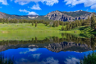 landscape photography of green grass field next to body of water, trout lake, yellowstone national park, usa