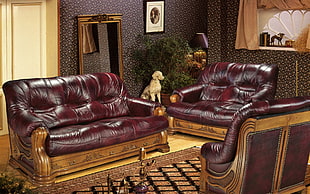 brown leather living room sofa vacant in the room