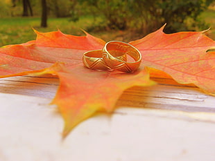 gold band rings HD wallpaper