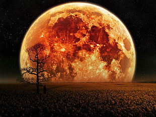 total lunar eclipse near field digital artwork, Moon, fantasy art, digital art, landscape HD wallpaper