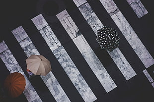 three assorted-color umbrellas, photography, Japan, umbrella, street