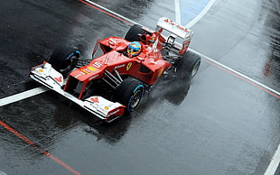 red and white F1 car, Fernando Alonso, Ferrari, Formula 1, ferrari formula 1 HD wallpaper