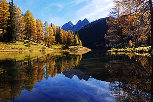 green leaf trees near body of water during daytime landscape photo, switzerland