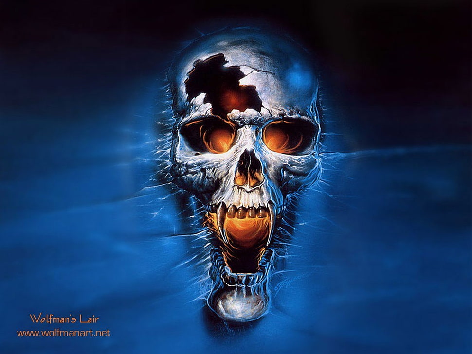 skull illustration with text overlay, Gothic, skull HD wallpaper