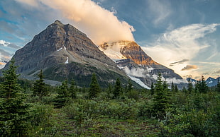 mountain alps, nature, mountains, trees, clouds