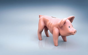 pink pig coin bank HD wallpaper