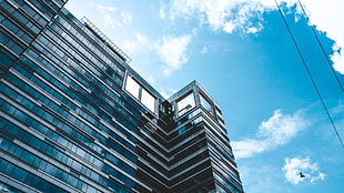 black and white painted building