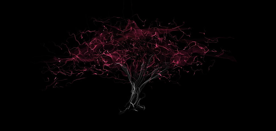black tree with red leaves digital wallpaper HD wallpaper