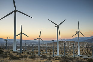 wind turbine lot in a plane field